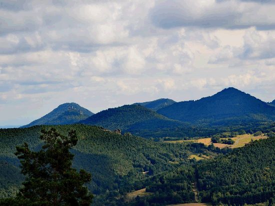 Wanderung Rimbachsteig 2016